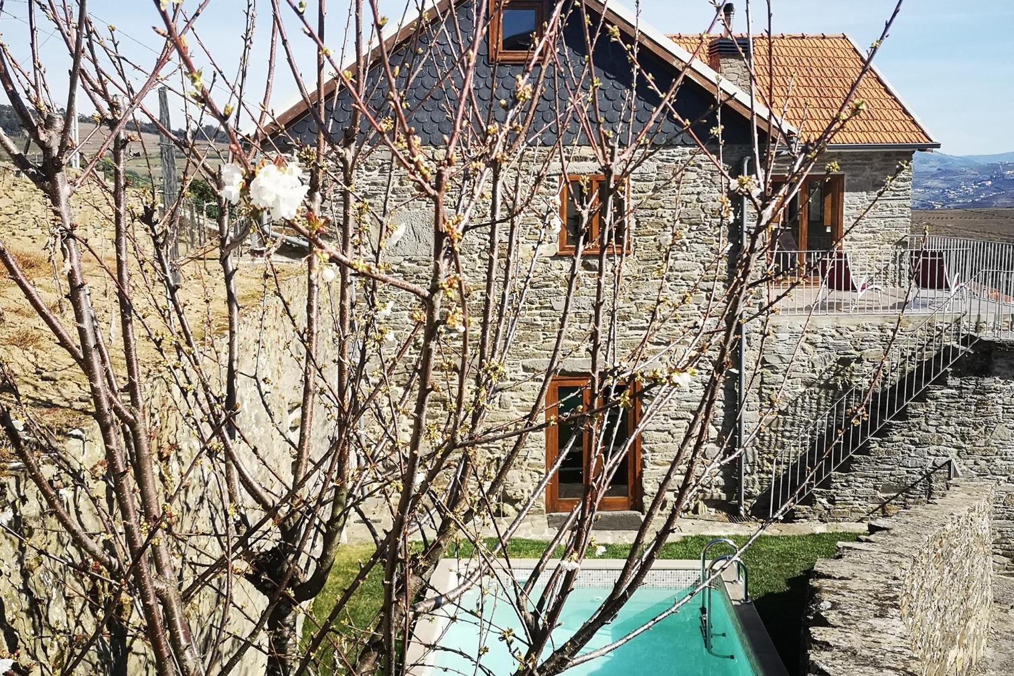 Sobreiro'S Villa In Douro Valley メザン・フリーオ エクステリア 写真