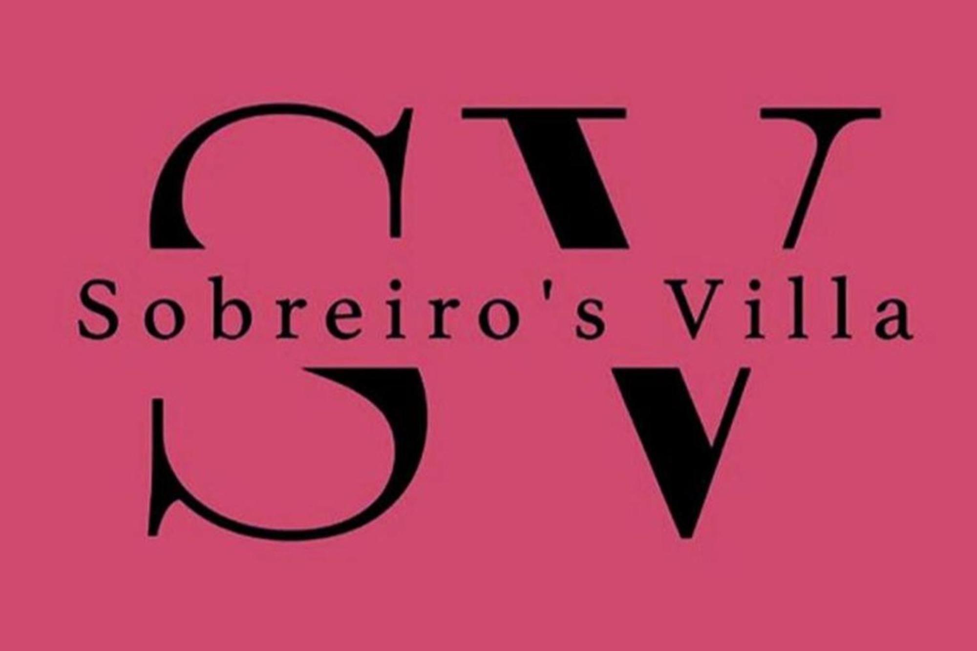 Sobreiro'S Villa In Douro Valley メザン・フリーオ エクステリア 写真